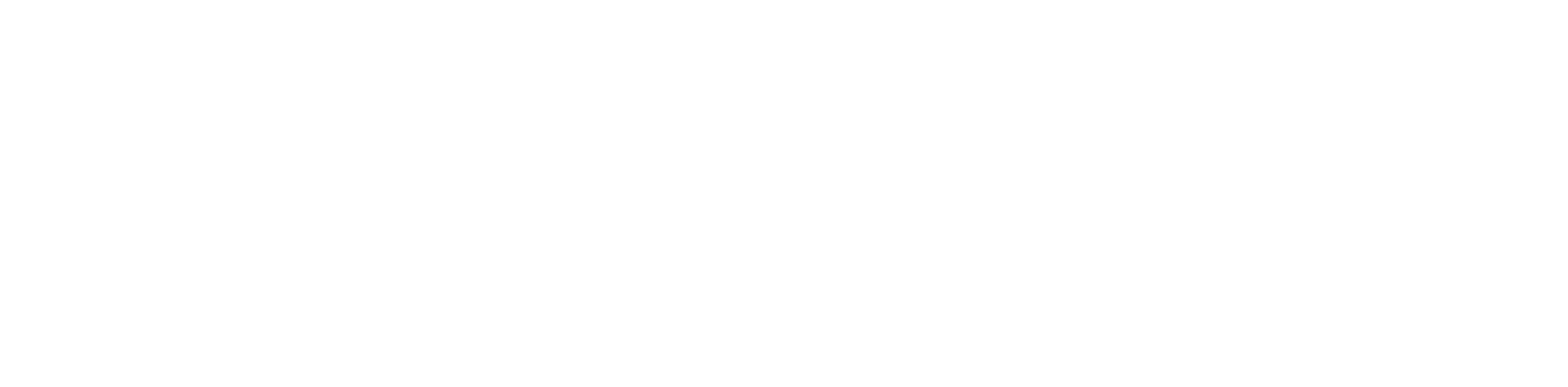 beeclue tech logo horizontal white